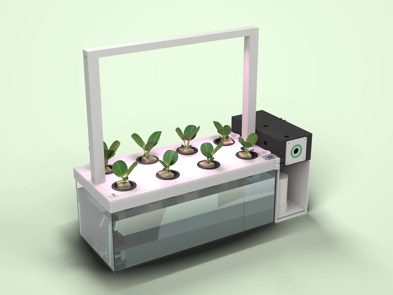 Render 3D kit HydroGami v0.2: reservoir akrilik berisi air, deck putih dengan delapan bibit pakcoy, lengkung lampu tanam, dan kompartemen elektronik hitam